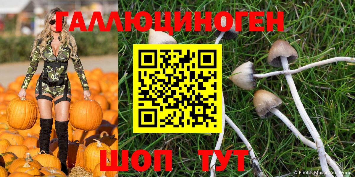 Псилоцибиновые грибы Magic Shrooms Иркутск