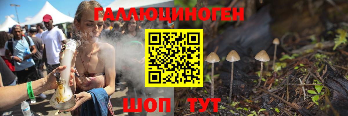 Галлюциногенные грибы Psilocybine cubensis  Галлюциногенные грибы прущие грибы  цена наркотик  Иркутск  Вход с VPN 